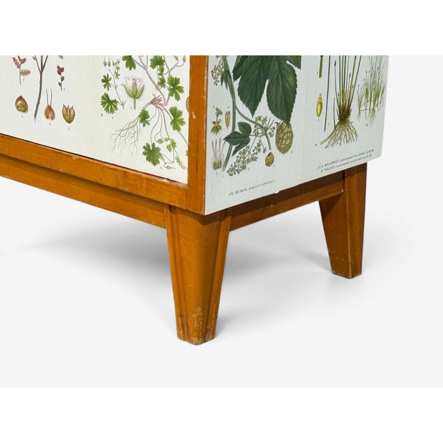 Swedish Modern, Nordens Flora Bookcase, Birch, Floral Lithographs, Sweden, 1940s For Sale - Image 11 of 15