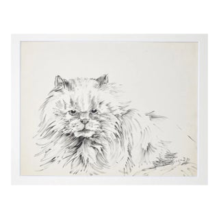 Marie Paulette Lagosse, The Cat, Pen on Paper, 1970s For Sale