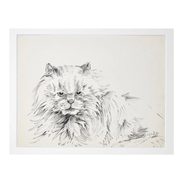 Marie Paulette Lagosse, The Cat, Pen on Paper, 1970s For Sale