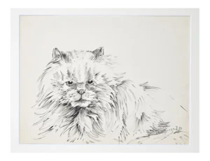 Marie Paulette Lagosse, The Cat, Pen on Paper, 1970s