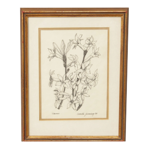 Davetta Greenberg Pen and Ink Drawing, 'Tuberoses'
