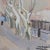 Yves Brayer, Row of Plane Trees In Winter, Maussane-les-Alpilles, 20th Century, Mixed Media on Paper, Framed For Sale - Image 7 of 17
