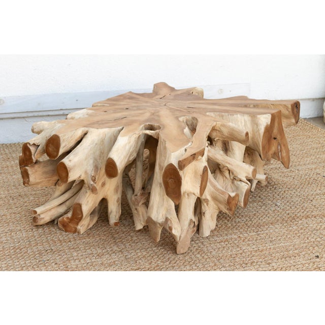 Abstract Sculptural Live Form Teak Root Coffee Table For Sale - Image 3 of 9