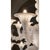 Monumental White Rezzonico Murano Glass Chandelier by Simoeng for Simoeng For Sale - Image 6 of 6