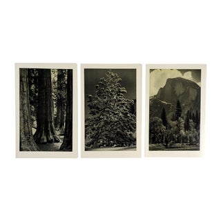 Vintage Yosemite Menus by Ansel Adams - Set of 3 For Sale