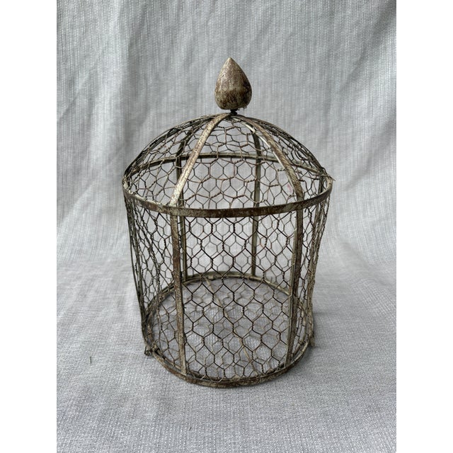 Vintage Indoor Wire Birdcage Garden Cloche For Sale - Image 15 of 17