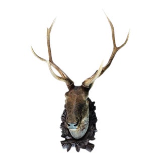 Late 19th Century Stag Head Black Forest Wood Carving Large For Sale