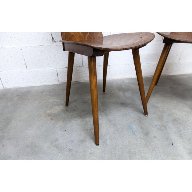 Baumann Gentiane Model Chairs, 1960, Set of 2 For Sale - Image 10 of 18