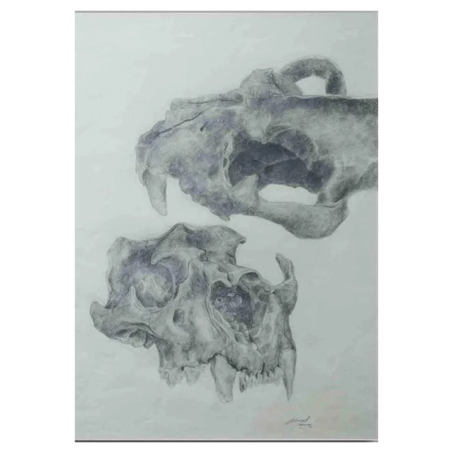 Michael Burgess, Anatomical Study, 1977, Drawing For Sale