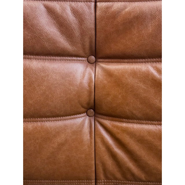 Vintage Togo Lounge Chair in Cognac Leather by Michel Ducaroy for Ligne Roset, in Restored conditions. Designed 1970 to...