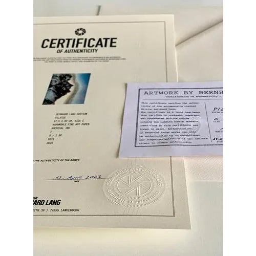 Bernhard Lang, Pilatus Mountain Landscape, Limited Edition Photograph For Sale - Image 7 of 9