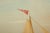 English 19th Century British Antique Sailing Ship Painting of “Ariel” at Sea by John Murday For Sale - Image 3 of 18