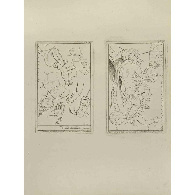 Anatomy Studies is an etching realized by Jean Francois Poletnich in 1755. Good conditions with foxing. The artwork is...