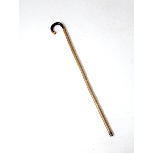 Antique Bamboo Cane For Sale - Image 4 of 8
