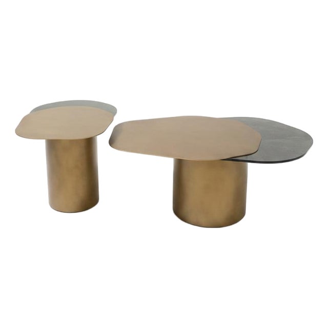 Set of 2 Irregular Shape Luxury Coffee Table Set For Sale