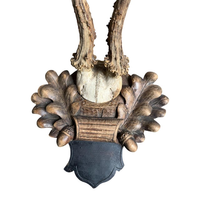 Cabin Roe Deer Trophy 218 Black Forest Antlers Mount For Sale - Image 3 of 5