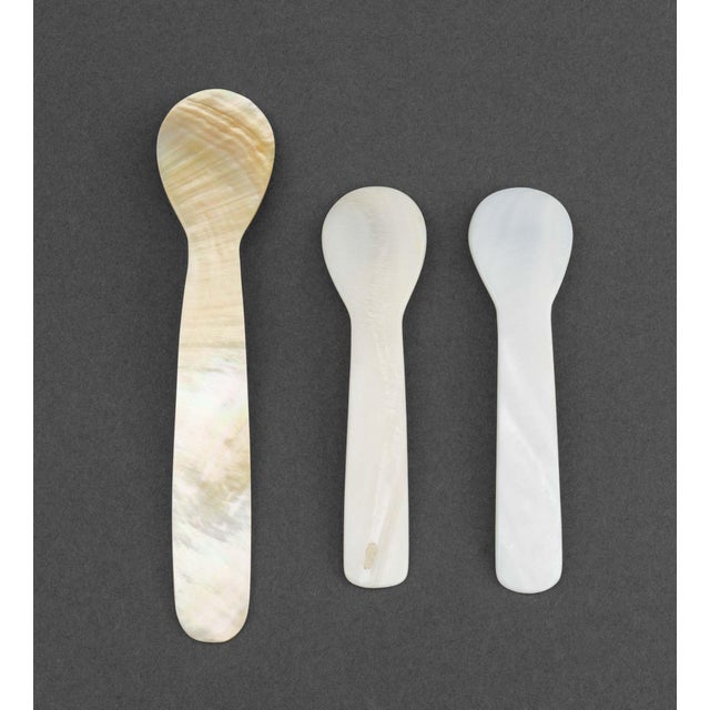 Late 20th Century Mother-of-Pearl Assembled Caviar Service - 9 pcs For Sale - Image 9 of 15