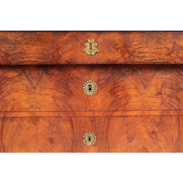 Early 19th Century Empire Burl Walnut Chest of Drawers With Marble Top For Sale - Image 9 of 14