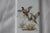 Porcelain Door Finger Plates, 1970s, Set of 3 For Sale - Image 14 of 16