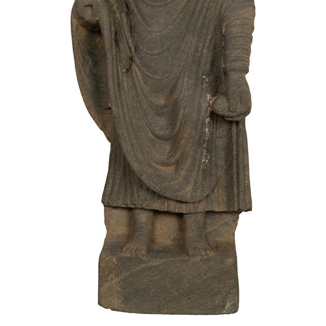 Ancient Indian Carved Stone Gandharan Shakyamuni Buddha Statue 2nd Century A.D. For Sale - Image 12 of 16