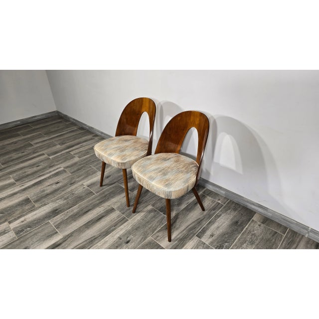 Dining Chairs by Antonin Suman, 1960s, Set of 2 For Sale - Image 16 of 17