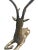 Mid 20th Century Midcentury Vintage Hollywood Regency Large Solid Brass Stag Deer Gazelle Figurine Sculpture For Sale - Image 5 of 11