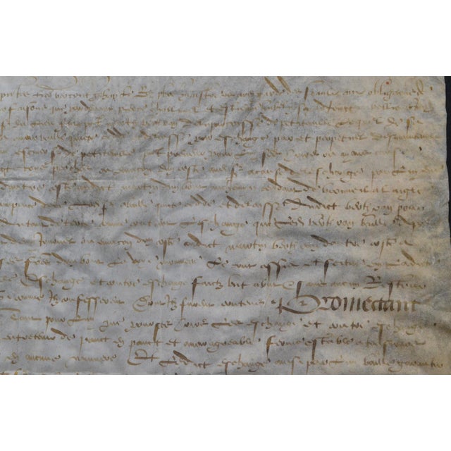 Paper 1534 French Renaissance Manuscript Legal Deed on Parchment, Seigneur De Petiteville For Sale - Image 7 of 11