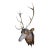 Antique Black Forest Stag Deer Head Wood Carved Sculpture Carving For Sale