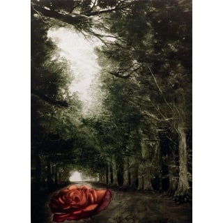 GH Rothe Solitude 1979 Rose Hand Signed Mezzotint Etching For Sale