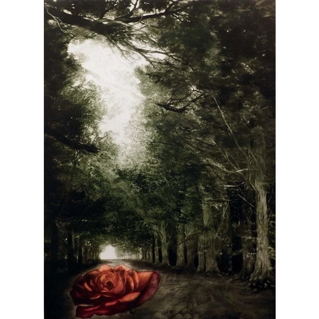 GH Rothe Solitude 1979 Rose Hand Signed Mezzotint Etching For Sale