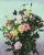 Floral Still Life with Butterfly by 19th-century American artist Carrie Clark (fl. 1880s) is oil on canvas and measures 20...