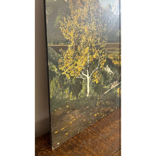1970s Vintage Mountain Landscape Photographic Print on Board, Autumn Scenic Wall Art.. For Sale - Image 5 of 10