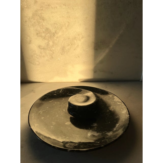 Late 20th Century Orthoceras Fossil Round Plate With Ammonite Ring For Sale - Image 5 of 11