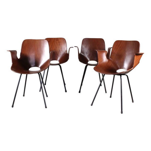 Medea Chairs with Armrests by Vittorio Nobili for Fratelli Tagliabue 1960s, Set of 4 For Sale