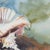 Mid-Century Modern Still Life Watercolor of a Conch Shell For Sale - Image 3 of 6