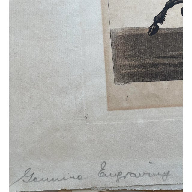 Louis Philibert Debucourt “Route De Poissy” Genuine Engraving For Sale - Image 4 of 6