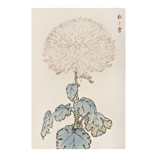 White Chrysanthemum by Hasegawa, Vintage Japanese Botanical Art Print, 40" X 60" For Sale