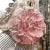 Large Murano Mirror with Blue and Pink Flowers, 1950s For Sale - Image 3 of 7