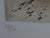 1970s Dali Rhinoceros Hand Signed Numbered Etching Very Rare Surreal Art For Sale - Image 5 of 6