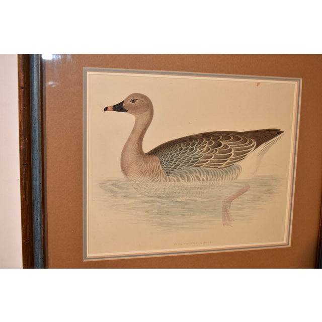 19th Century 19th Century Beverley Morris Engraving For Sale - Image 5 of 6