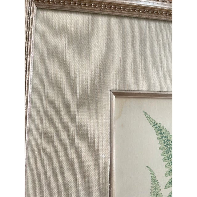 Paper Vintage Henry Bradbury Nature Fern Print Framed For Sale - Image 7 of 9