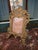 Antique Gilt Brass French Frame For Sale In San Antonio - Image 6 of 7
