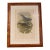 Circa 1893-1895 English Framed Lithograph of the Eucichla Ellioti by William Matthew Hart For Sale