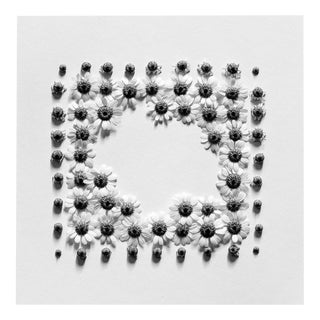 Ramunės - Abstract Analogue Black and White Floral Photography, 3 of 5 2022 For Sale