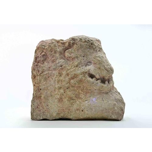 1960s Sirio Pellegrini, Head of Animal, Sculpture, 1960s For Sale - Image 5 of 5