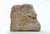 1960s Sirio Pellegrini, Head of Animal, Sculpture, 1960s For Sale - Image 5 of 5