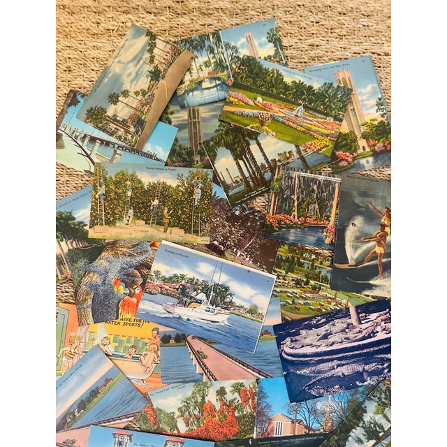 This charming collection of vintage Florida postcards captures the romance and nostalgia of the Sunshine State’s golden...