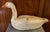 Beige Antique Carved Wood & Paint Decorated Snow Goose Waterfowl Bird Decoy Circa 1920 For Sale - Image 8 of 18