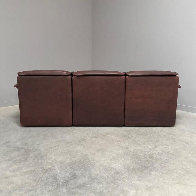 DS12 3-Seater Sofa from de Sede, Switzerland 1970s For Sale - Image 15 of 16