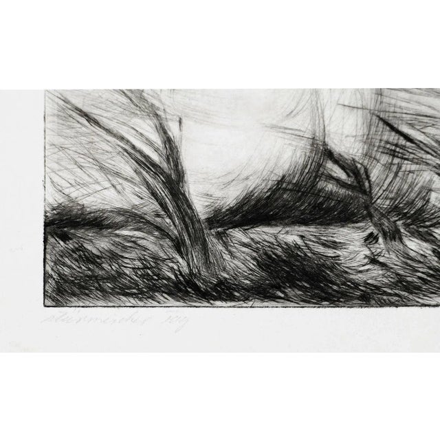 Two Lake Landscapes - Original Etching and Drypoint - 1970s 1970s For Sale - Image 6 of 8